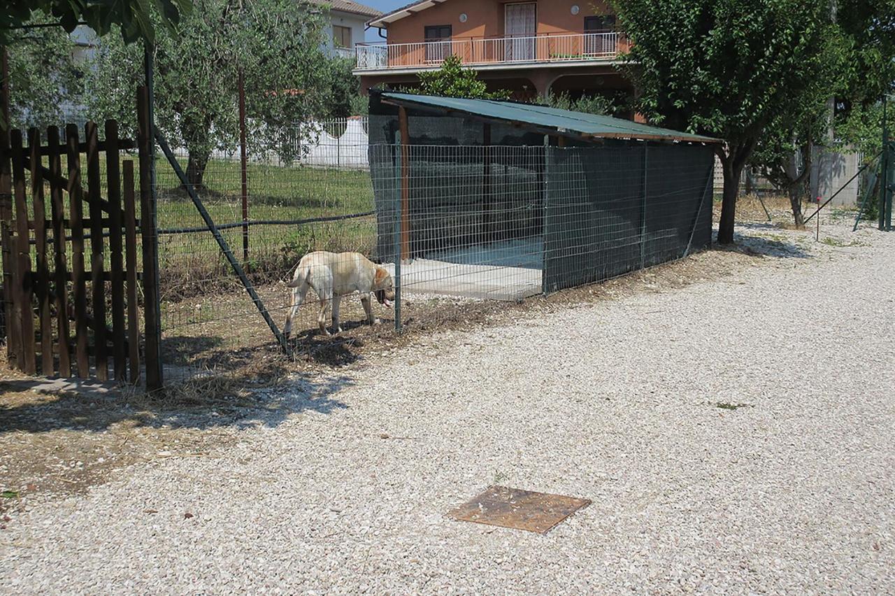 Villa Degli Ulivi Lempa 外观 照片